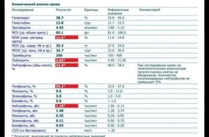 Лимфоциты эритроциты повышены