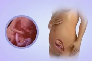 Не чувствую шевеления ребенка. 21 неделя. Беременности