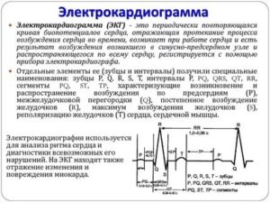 Срок годности ЭКГ с нагрузкой