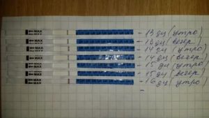 Тянет низ живота после месячных