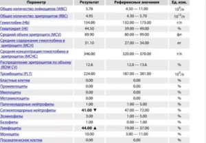 Лимфоциты эритроциты повышены