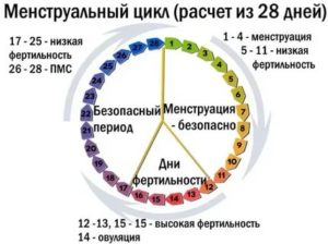 Пришли месячные на 17 день цикла