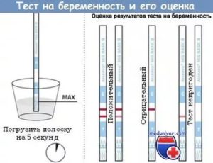 Тест на беременность после полового акта