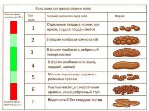 Консистенция стула после года