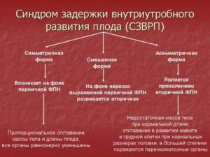 СЗРП плода
