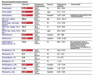 Повышены моноциты и лимфоциты у ребенка