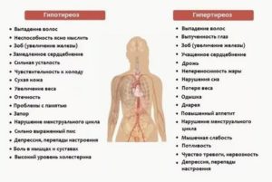 Резкие скачки давления, гипотиреоз, эутирокс