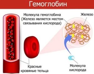 Гемоглобин + и следы крови в моче ребенка