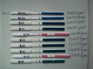 Тянет живот при беременности в дни предполагаемых месячных