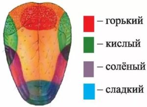 Потеря чувствительности языка к соленому и сладкому