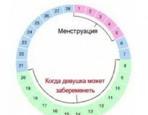 Когда допустима интимная жизнь после менструации