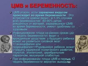 Цитомегаловирус при беременности