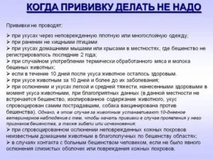 Ставить ли ребёнку прививку от столбняка после укуса собаки?