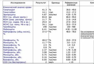 Повышены моноциты и лимфоциты у ребенка