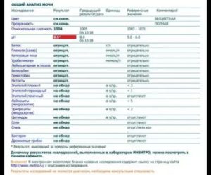 Гемоглобин + и следы крови в моче ребенка