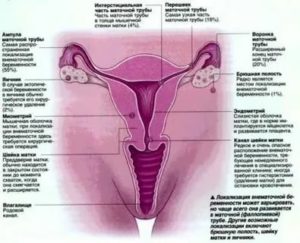 Может ли девственница забеременеть от мужской смазки