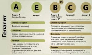 Можно ли болеть одновременно гепатитом В и С