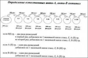 Антигрупповые антитела