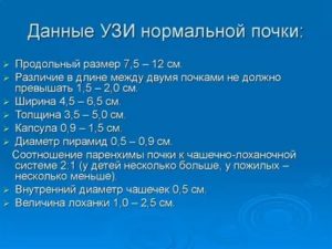 Толщина паренхимы почки 5,5 мм