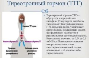 Почему ттг скачет