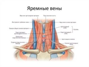 Повреждение яремной вены