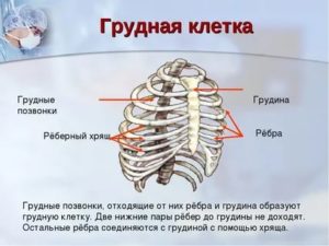 Растяжение хрящей в грудной клетке