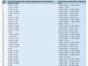 Размер плодного яйца на 5 неделе беременности