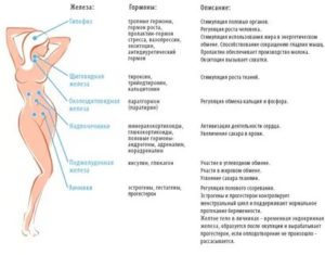 Анализы на гормоны при отеках и сухости кожи