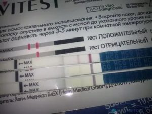 Тест на беременность после полового акта