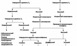 Т4 свободный понижен при нормальном ттг