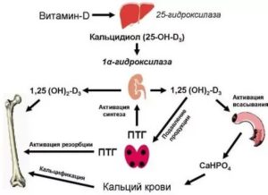 Повышен паратгормон, снижен витамин Д