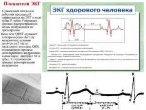 Срок годности ЭКГ с нагрузкой