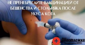 Ставить ли ребёнку прививку от столбняка после укуса собаки?