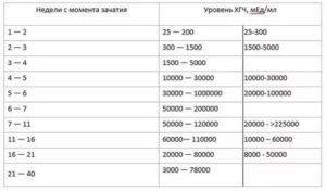 Как долго понижается гормон хгч после чистки?