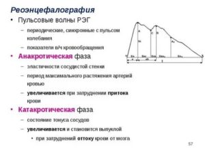 Тонус сосудов по результатам РЭГ