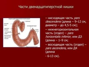 Операция 12 перстной кишки удалили часть кишечника