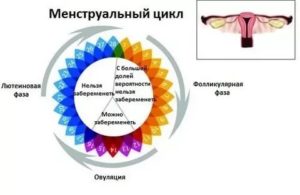 Пропущен 1 цикл месячных