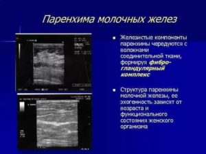 Преобладание железистой ткани