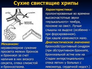 Свист при дыхании у ребенка, кашля нет