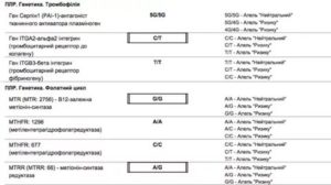 Мутации в генах фолатного цикла