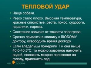 Резко становится плохо