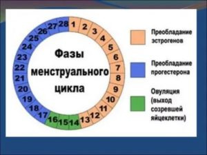 Месячные начались на 12 день цикла - причина?