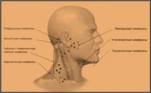 Увеличены шейные, затылочные и подчелюстные лимфоузлы