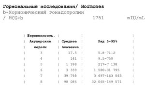 Размер плодного яйца на 5 неделе беременности