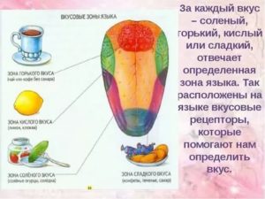 Потеря чувствительности языка к соленому и сладкому