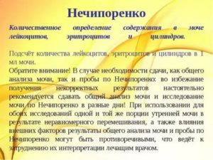 Повышены эритроциты по Нечипоренко