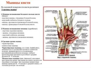 Почему кисть руки не работает