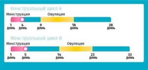 Может ли при миоме или восполнениям положительным тесты 3 раза