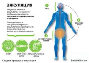 Проблемы после семяизвержения