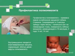 Ревакцинация полиомиелита после болезни